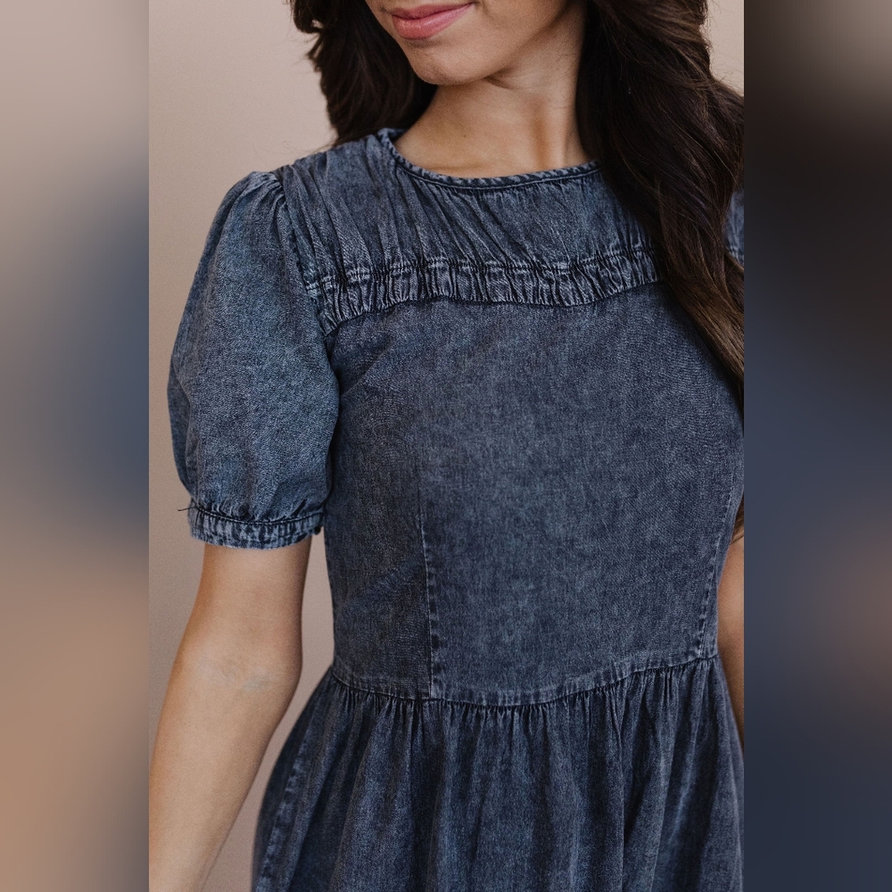 Neuflora Clara Dress Charcoal 3x NWT